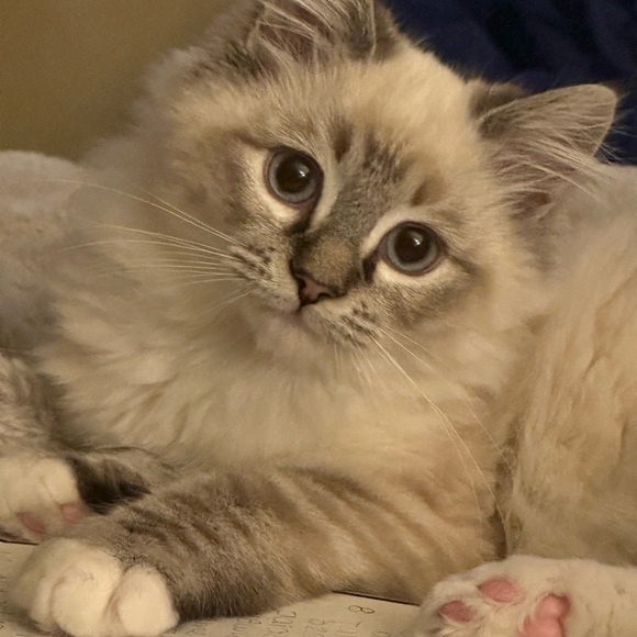 Meet your Posher, Christina - Picture 5 of 15